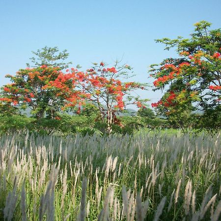 Lilawalai Resort Nong Nam Daeng Ngoại thất bức ảnh