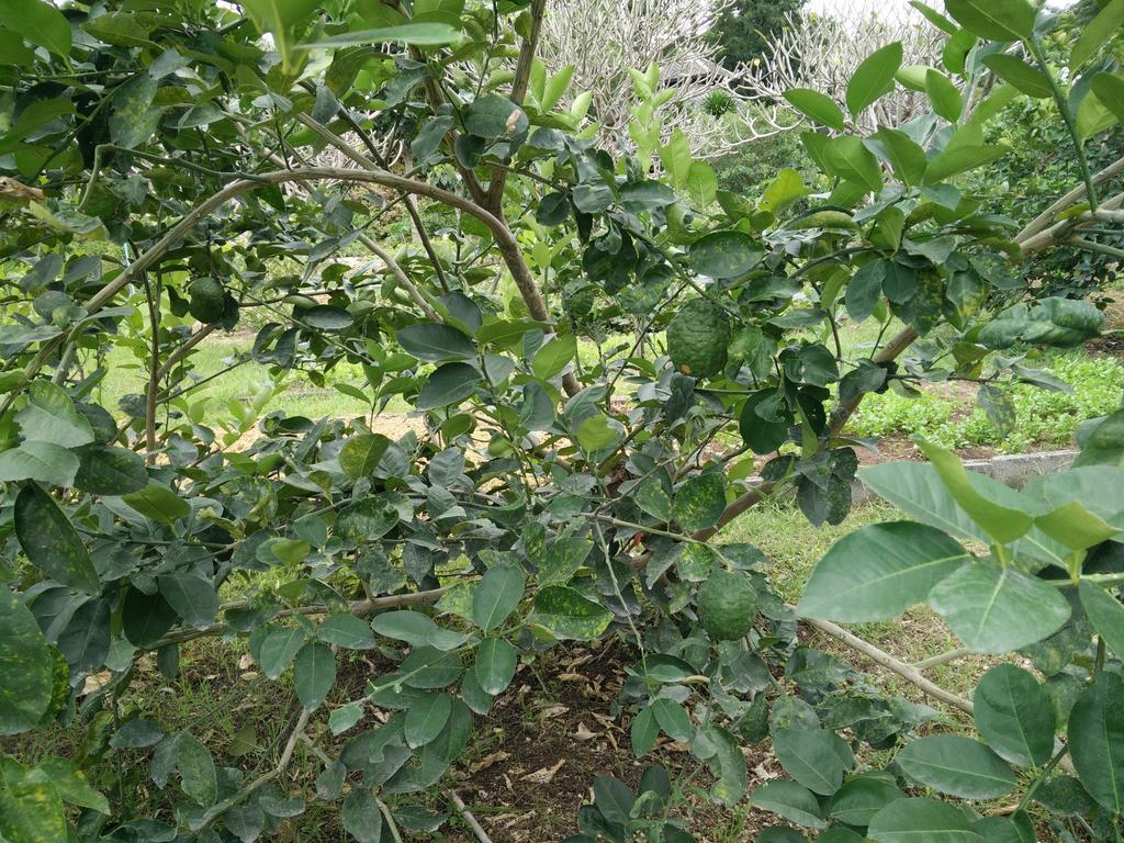 Lilawalai Resort Nong Nam Daeng Ngoại thất bức ảnh