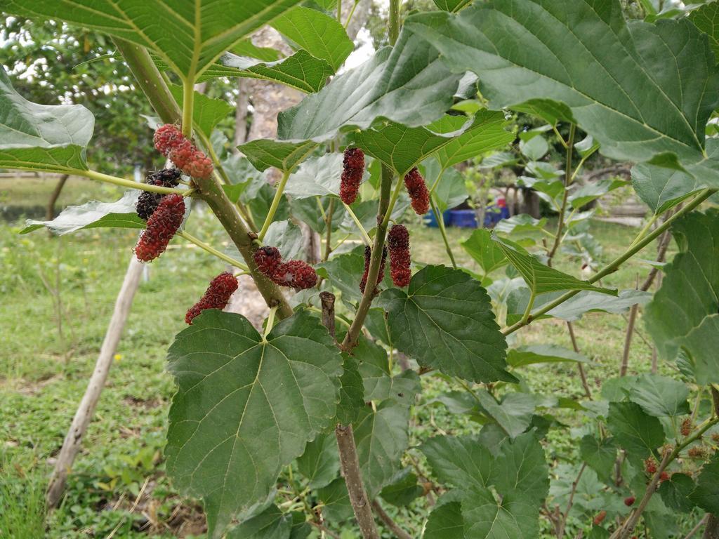 Lilawalai Resort Nong Nam Daeng Ngoại thất bức ảnh